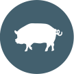 Animal feed manufacturers - Pig